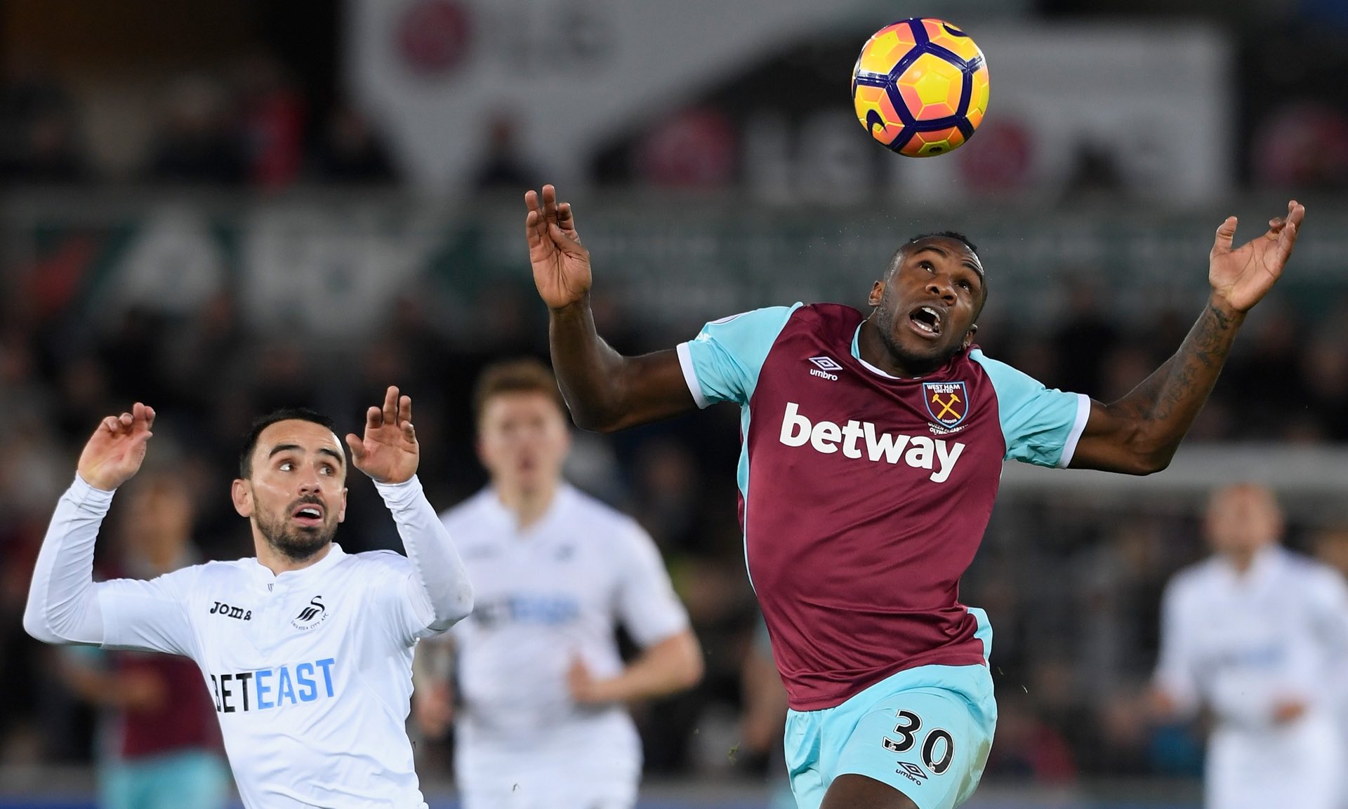 书写属于自 书写属于自